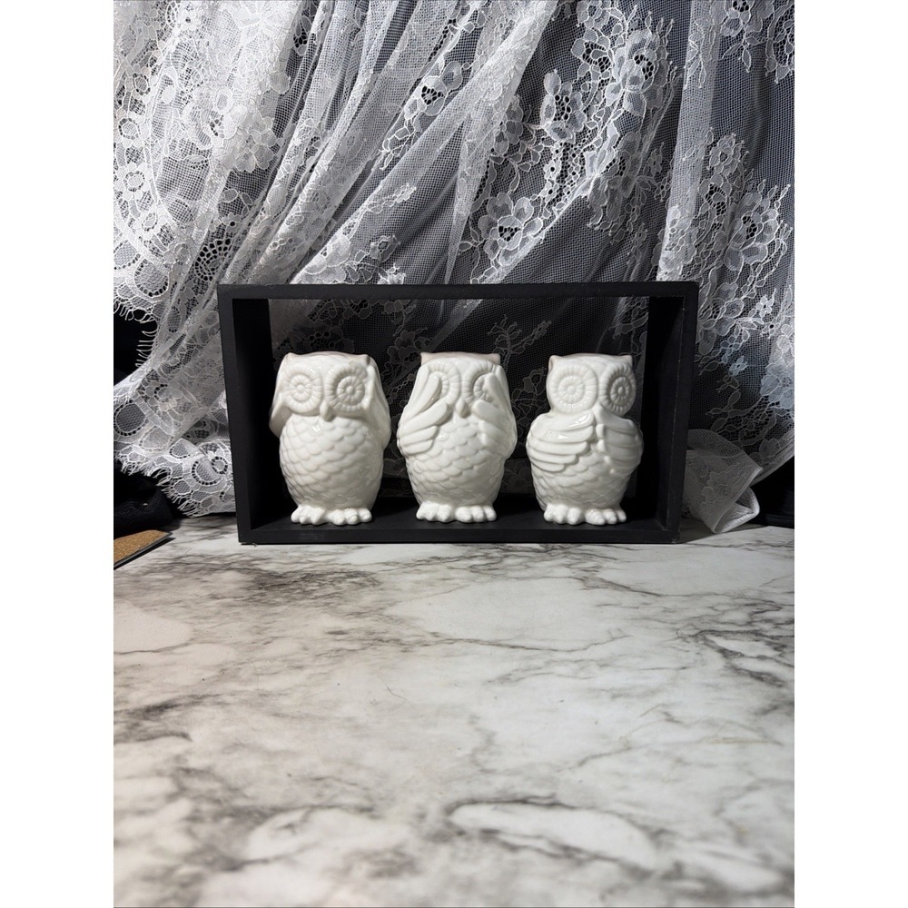 Owls Ceramic in Frame ~ See No Evil, Hear no Evil, Speak No Evil 11.5x6.5 (2976) - Picture 3 of 10